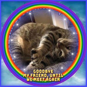 Meet your Posher, Robin